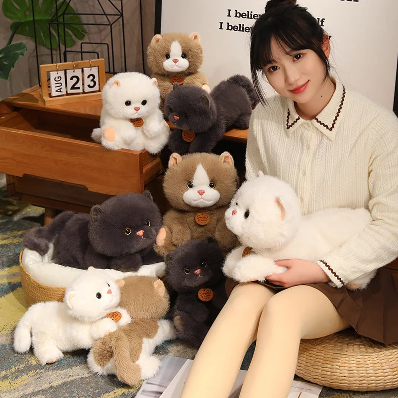 kawaiies-softtoys-plushies-kawaii-plush-Fluffy Kitten Squad Laying Plushies Soft toy 