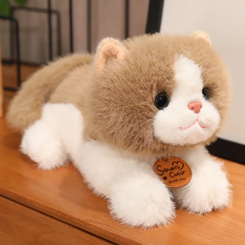 kawaiies-softtoys-plushies-kawaii-plush-Fluffy Kitten Squad Laying Plushies Soft toy Brown 10in / 25cm 