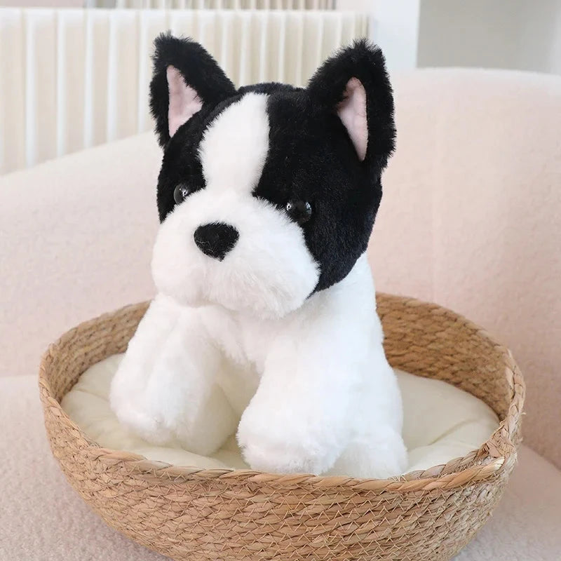 kawaiies-softtoys-plushies-kawaii-plush-Kawaii Biege White French Bulldog Plushies Soft toy 