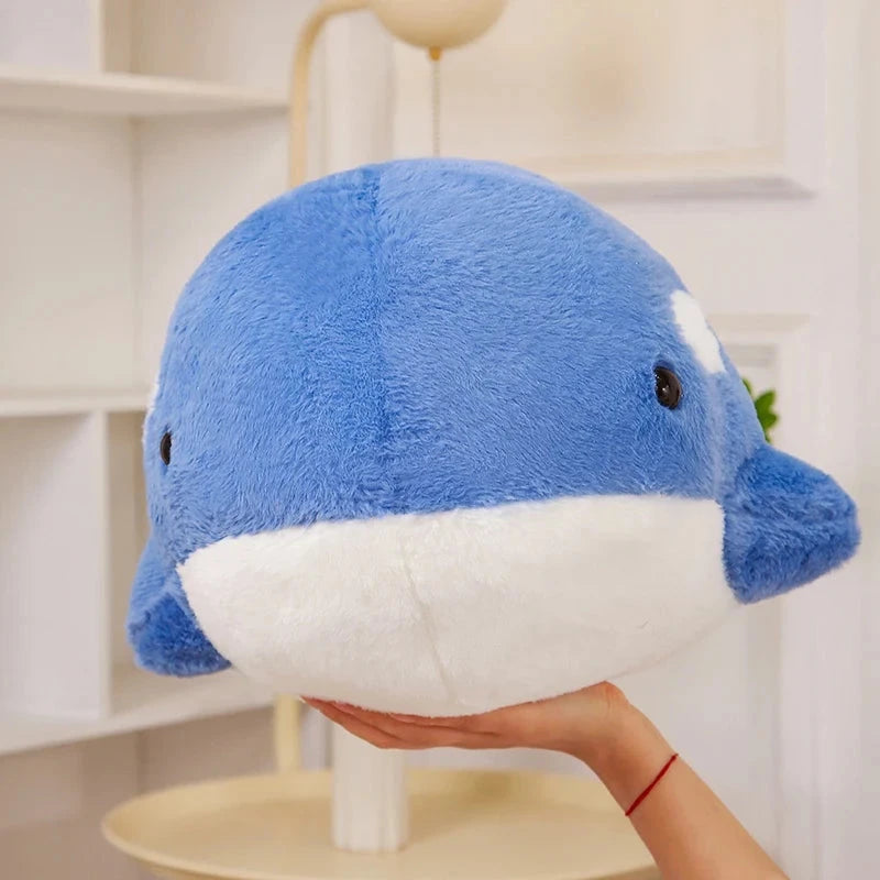 kawaiies-softtoys-plushies-kawaii-plush-Kawaii Fluffy Gray Blue Killer Whale Plushies Soft toy 