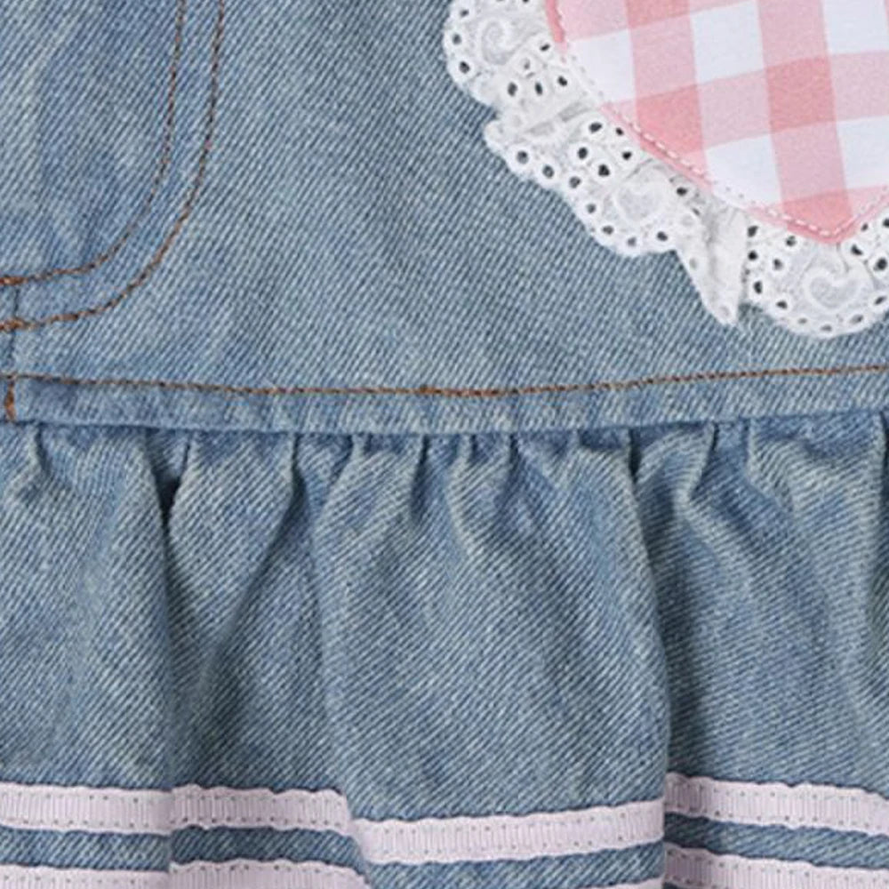 kawaiies-softtoys-plushies-kawaii-plush-Kawaii Harajuku Japanese-themed Lolita Mini Denim Checked Women's Skirt Apparel 