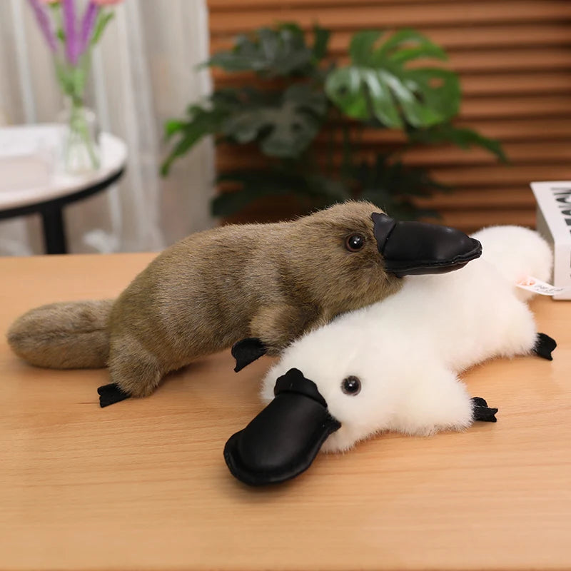 kawaiies-softtoys-plushies-kawaii-plush-Pleep the Fluffy Brown & White Platypus Plush Soft toy 