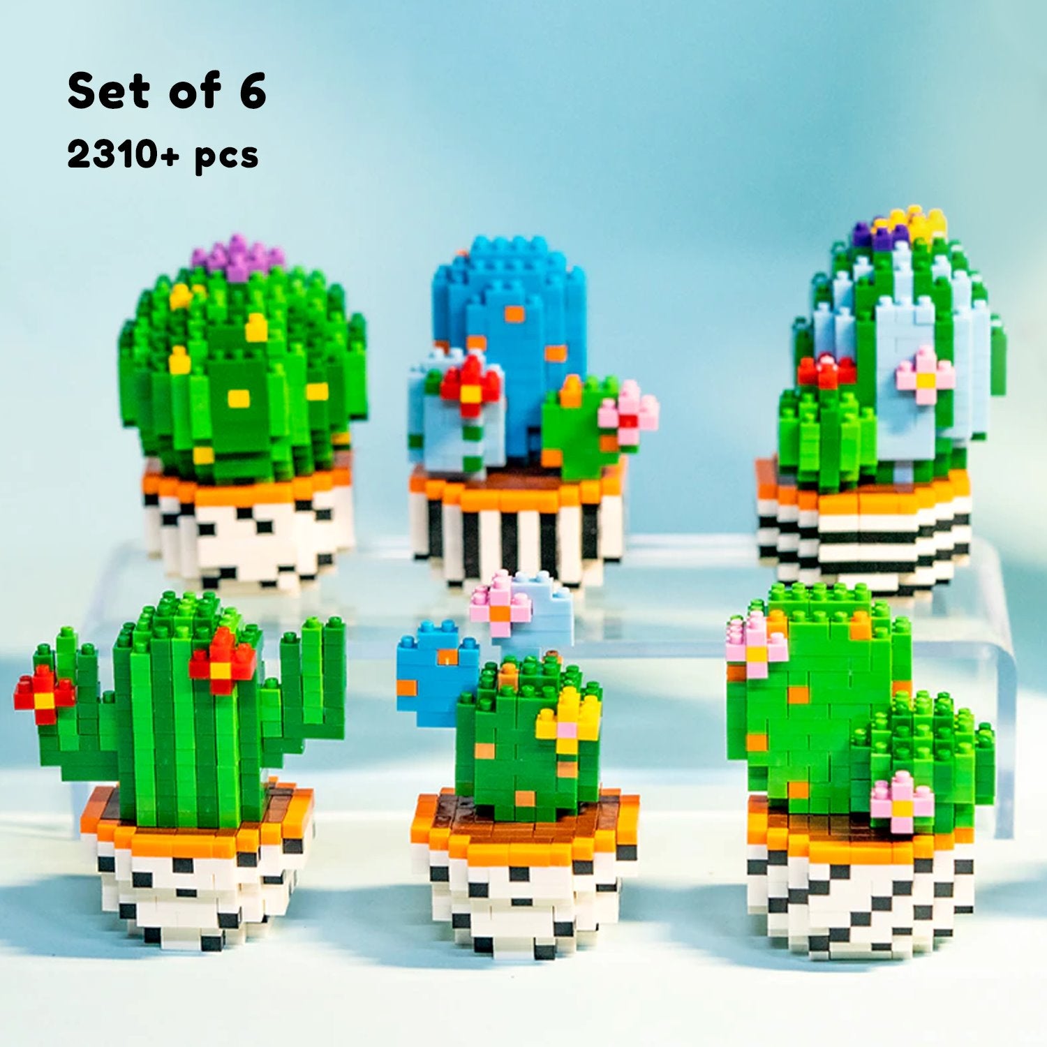 Cuddly Cactus - Small / Grow Pot / Plastic
